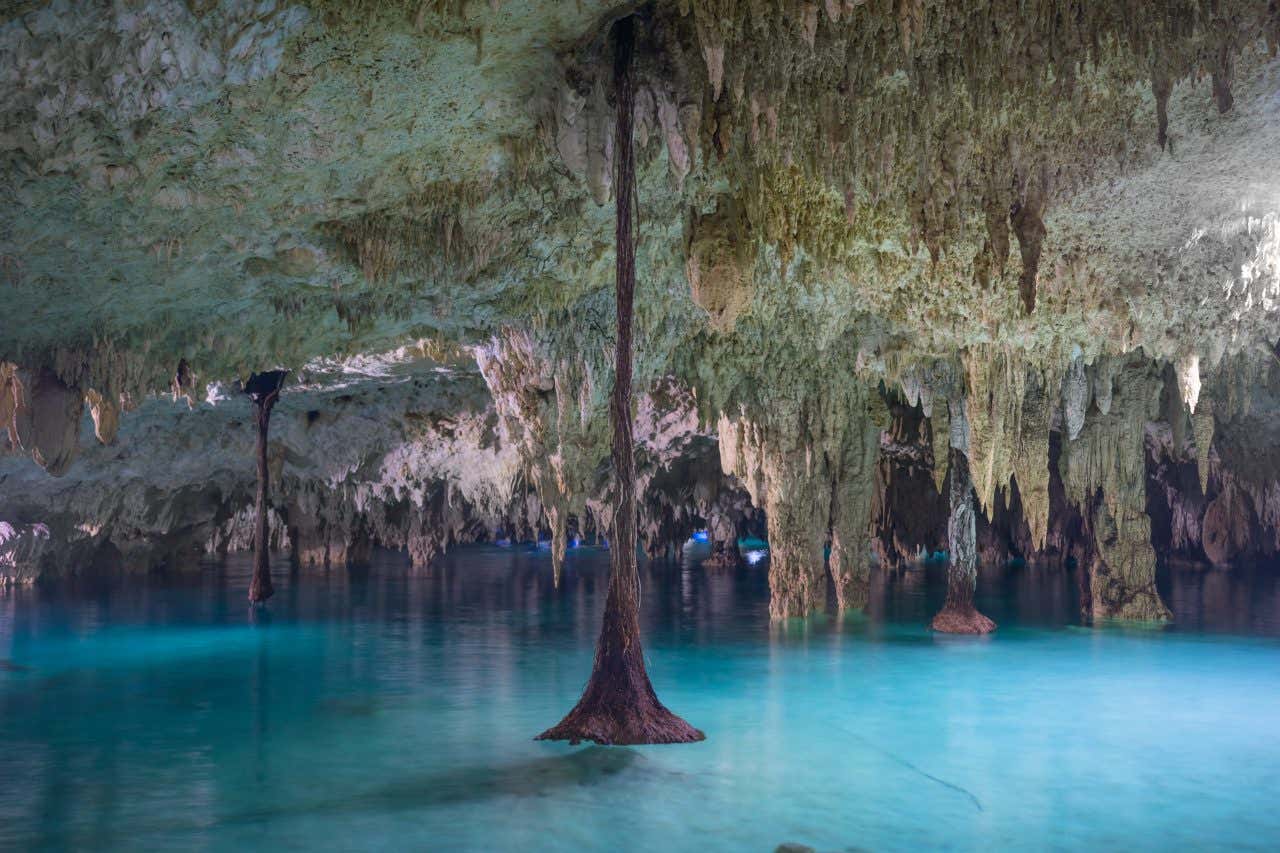 Aguas turquesas del cenote Sac Actun, uno de los lagos más importantes de México. 