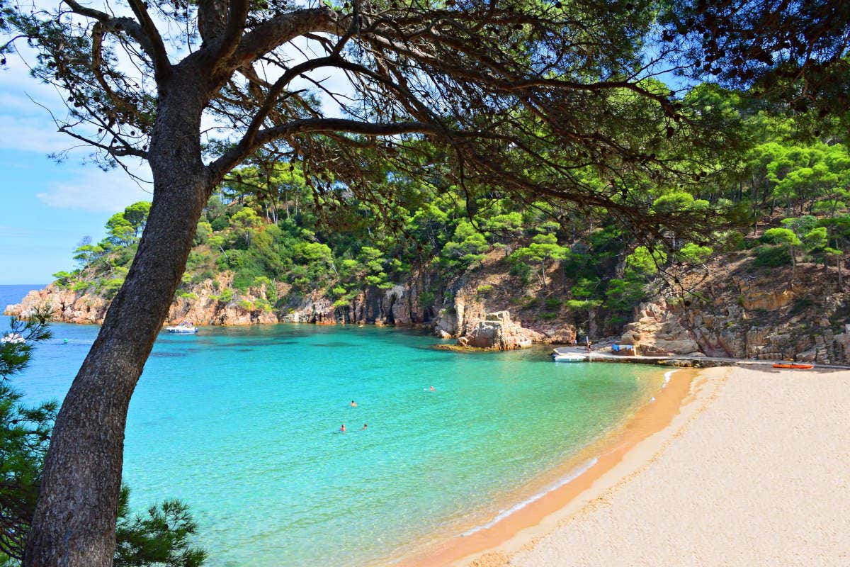 View looking at the beachfront from under tree leaves, pristine white sand meets turquoise clear water next to a large rocky hill covered in green trees