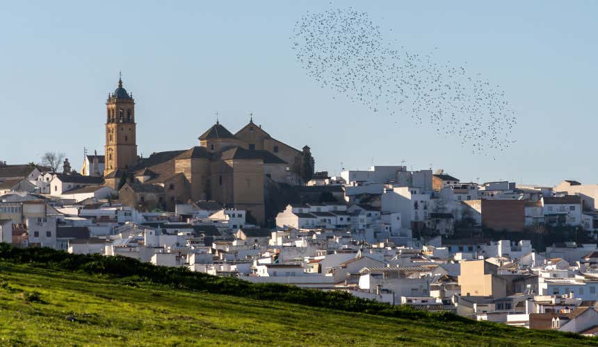 Panorámica de Montilla, uno de los pueblos más bonitos de Córdoba, con una iglesia en primer plano rodeado de casas blancas 