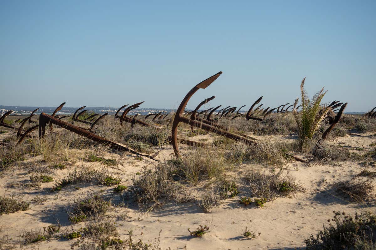 Ship anchors sit on a sandy beach in rows, tall whispy grass surrounding each anchor against a pale blue sky, and the ocean in the distance