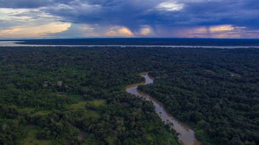 Parque Nacional Amacayacu