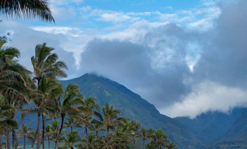 Pu'u Kukui, sull'isola di Maui, sotto una coltre di nubi e con svariate palme che dal lato sinistro si estendono verso il centro.