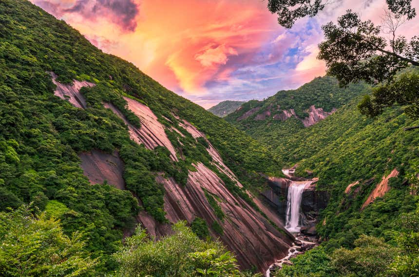 Cascada en Yakushima, Japón