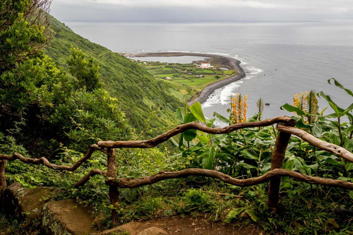 Sendero repleto de vegetación de São Jorge. 