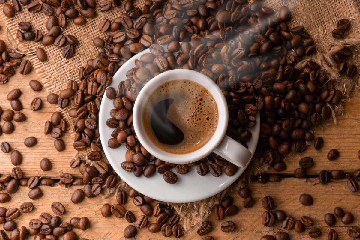 Best Coffee Beans in the World - Civitatis