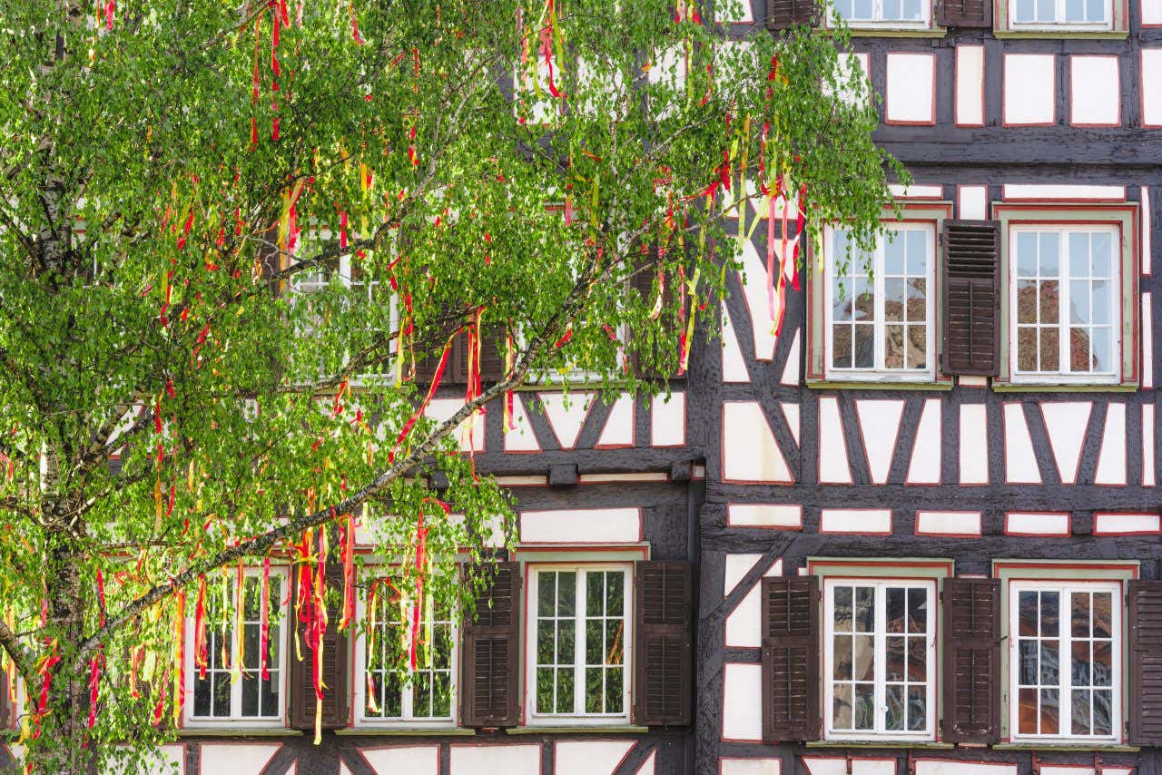 A decorated birch tree in front of a traditional German building