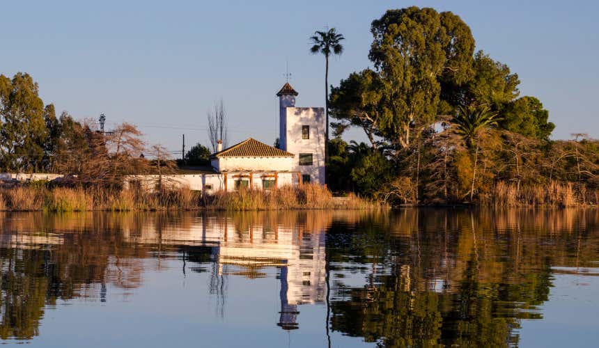 Albufera de Valencia con una casa blanca en primer plano rodeada de agua y árboles