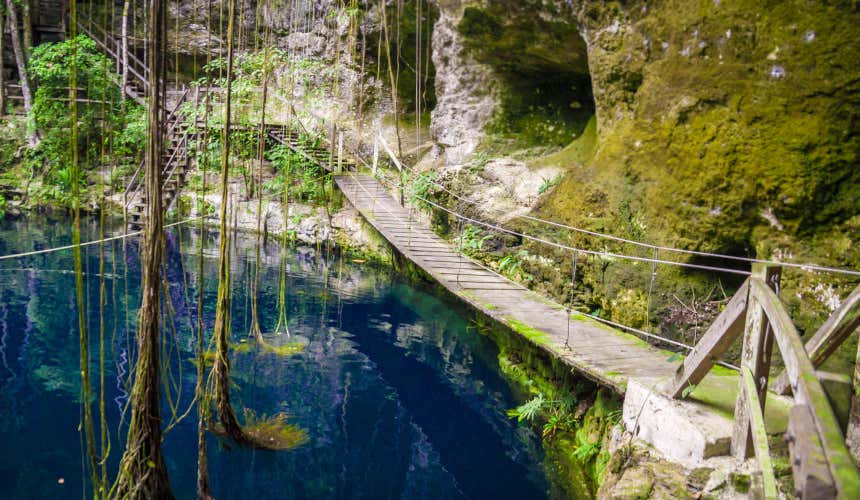 Lagoa do cenote Xcanché, uma ponte de madeira do lado direito e cipós que chegam à água