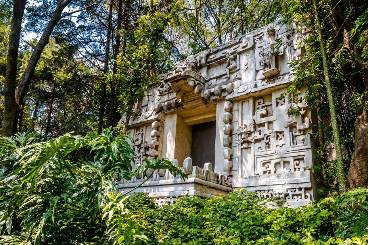 Green vegetation surrounding a Maya Temple with various carvings, on display in one of our museums to celebrate international museum day