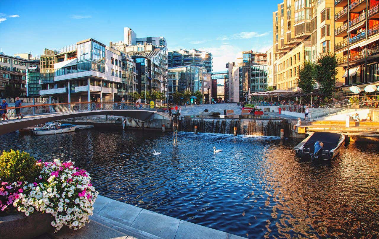 A canal area with two white swans, a colourful flower pot and modern buildings in Oslo