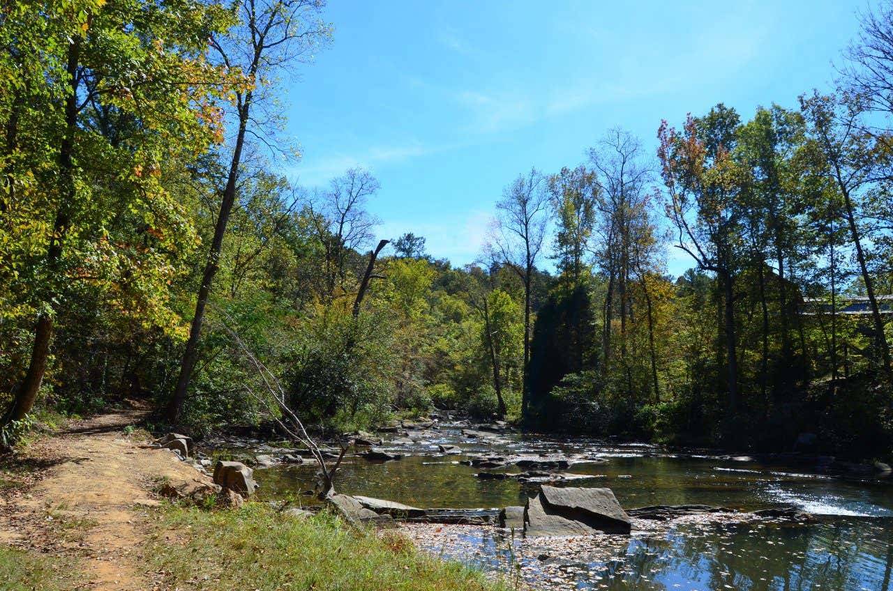 A calm river passing through a peaceful forest on a clear day