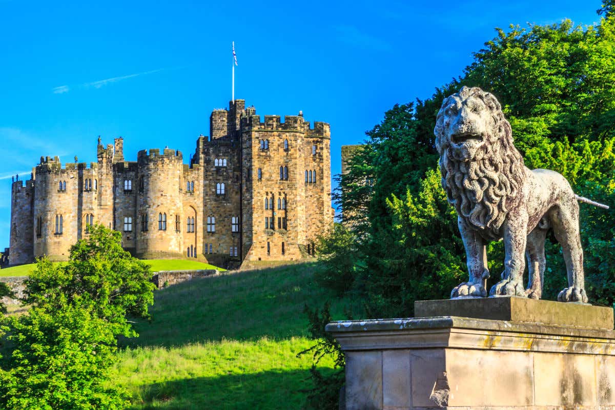 Uma escultura de um leão no primeiro plano em frente à fachada do castelo de Alnwick em um dia de céu aberto e com uma grama de um verde intenso