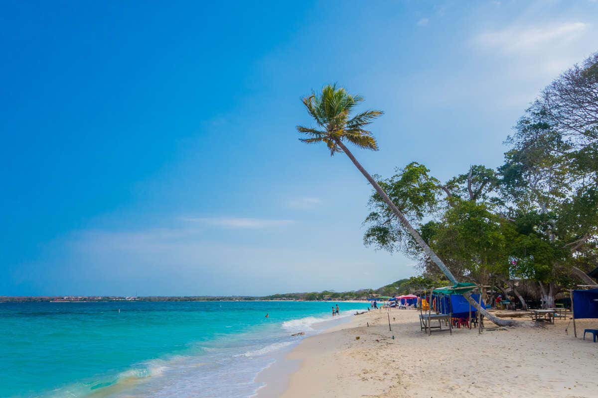 Dia de sol na desértica Playa Blanca, com coqueiros e águas azuis, umas das melhores praias da Colômbia