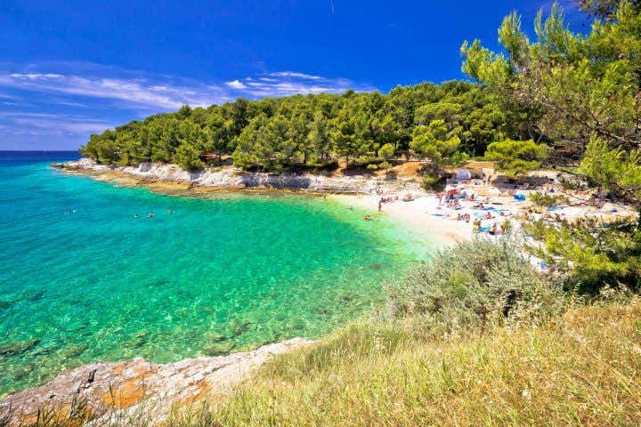 Una  bellissima spiaggia dell'Istria, con acqua cristallina e circondata da una pineta, con alcuni turisti sulla sabbia