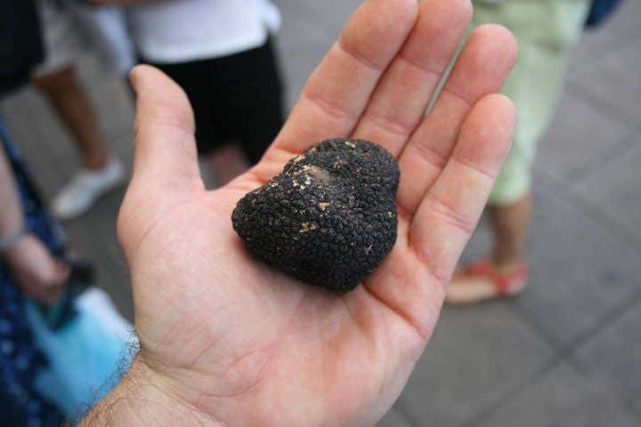 Primo piano di una mano che tiene un tartufo nel palmo 