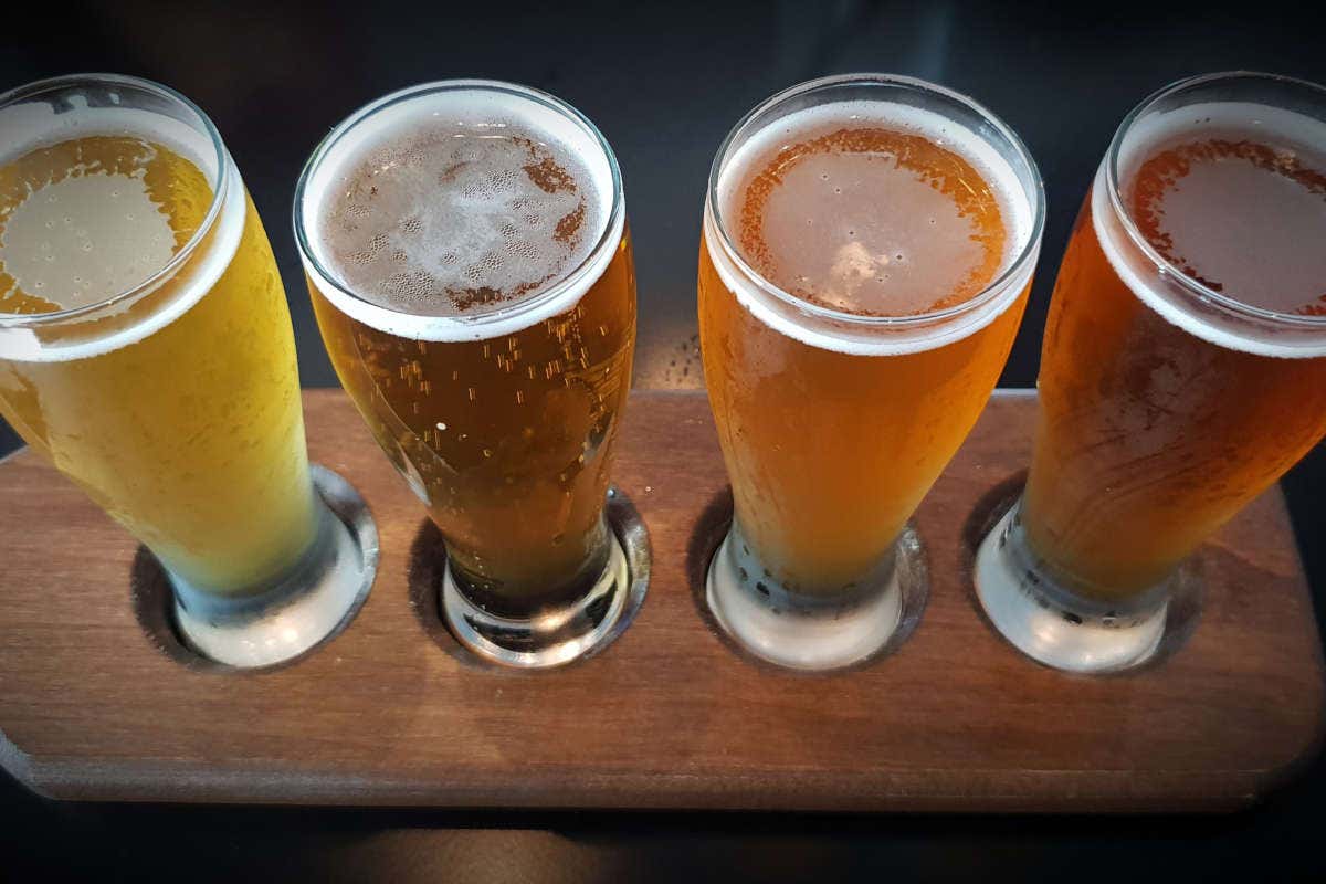 Flight of craft beers with four different types of beers ready for beer tasting in San Diego California