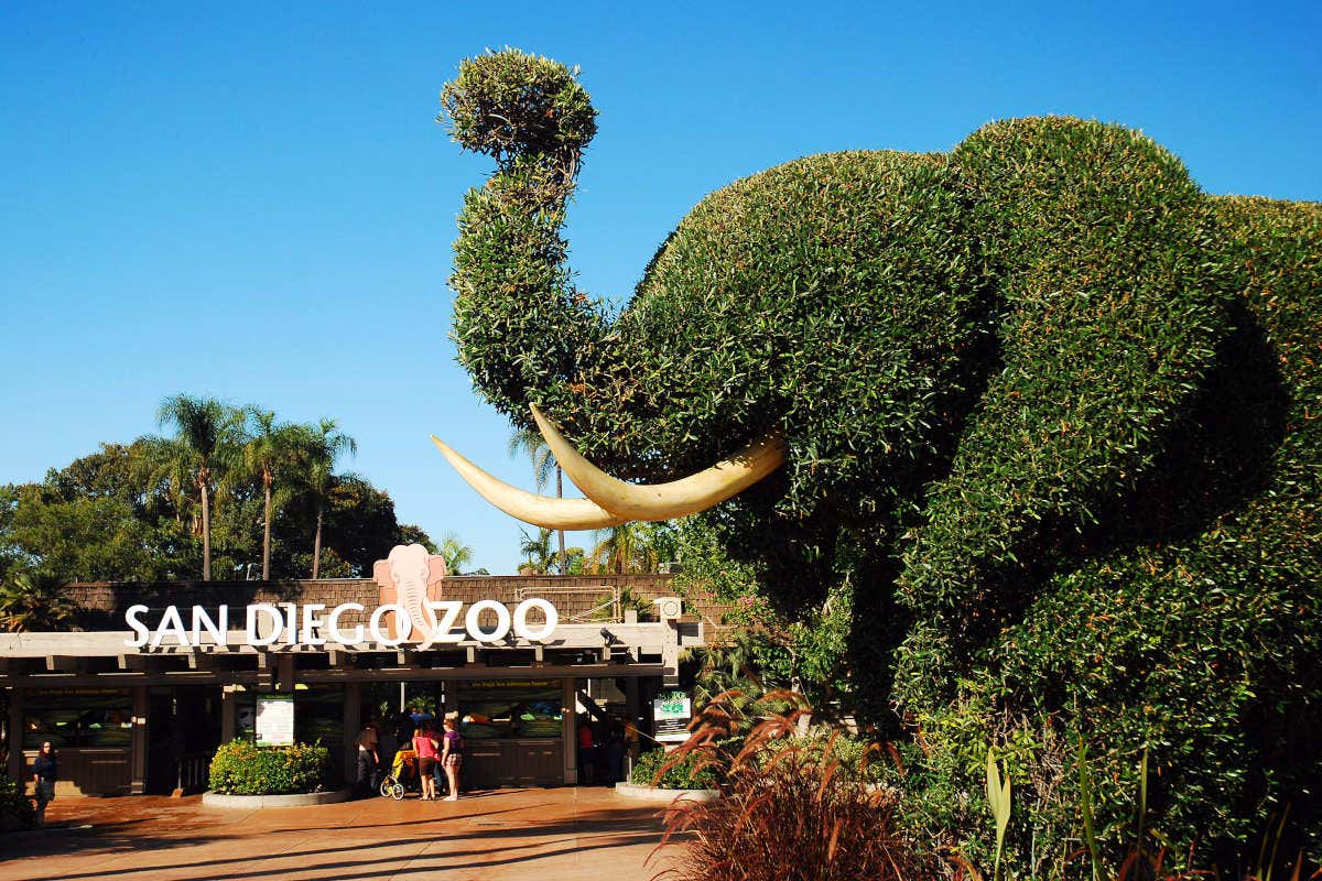 Elephant-shaped bush at the entrance of the San Diego Zoo, California