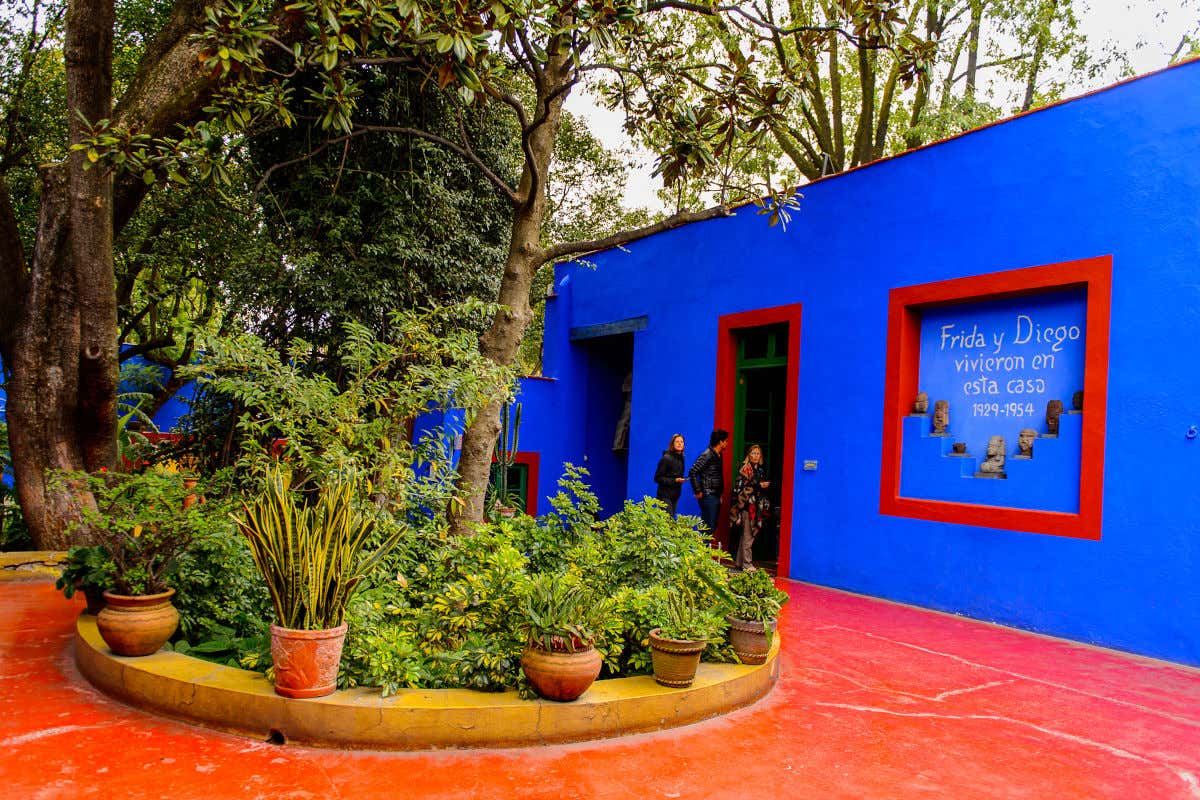 Un patio repleto de árboles y plantas en macetas frente a la fachada azul del Museo Frida Kahlo de Ciudad de México