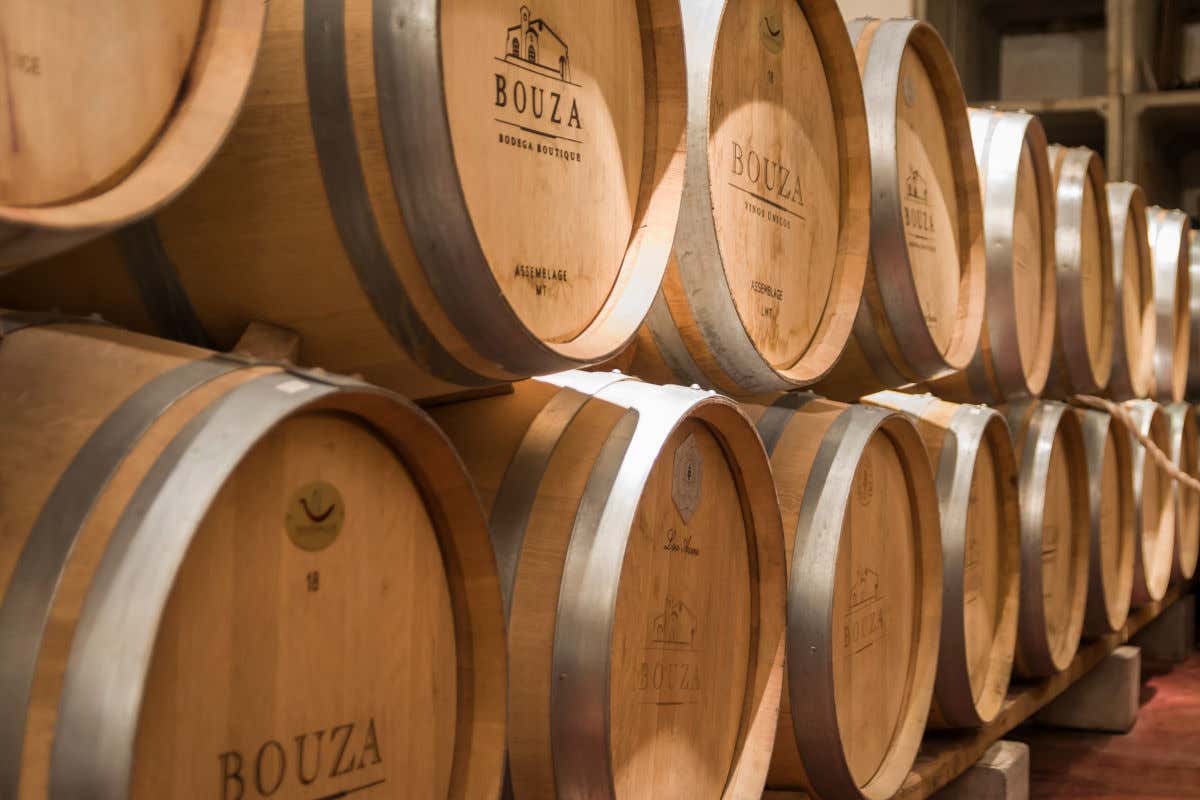 Tonneaux de vin uruguayen dans les caves de Bouza à Montevideo