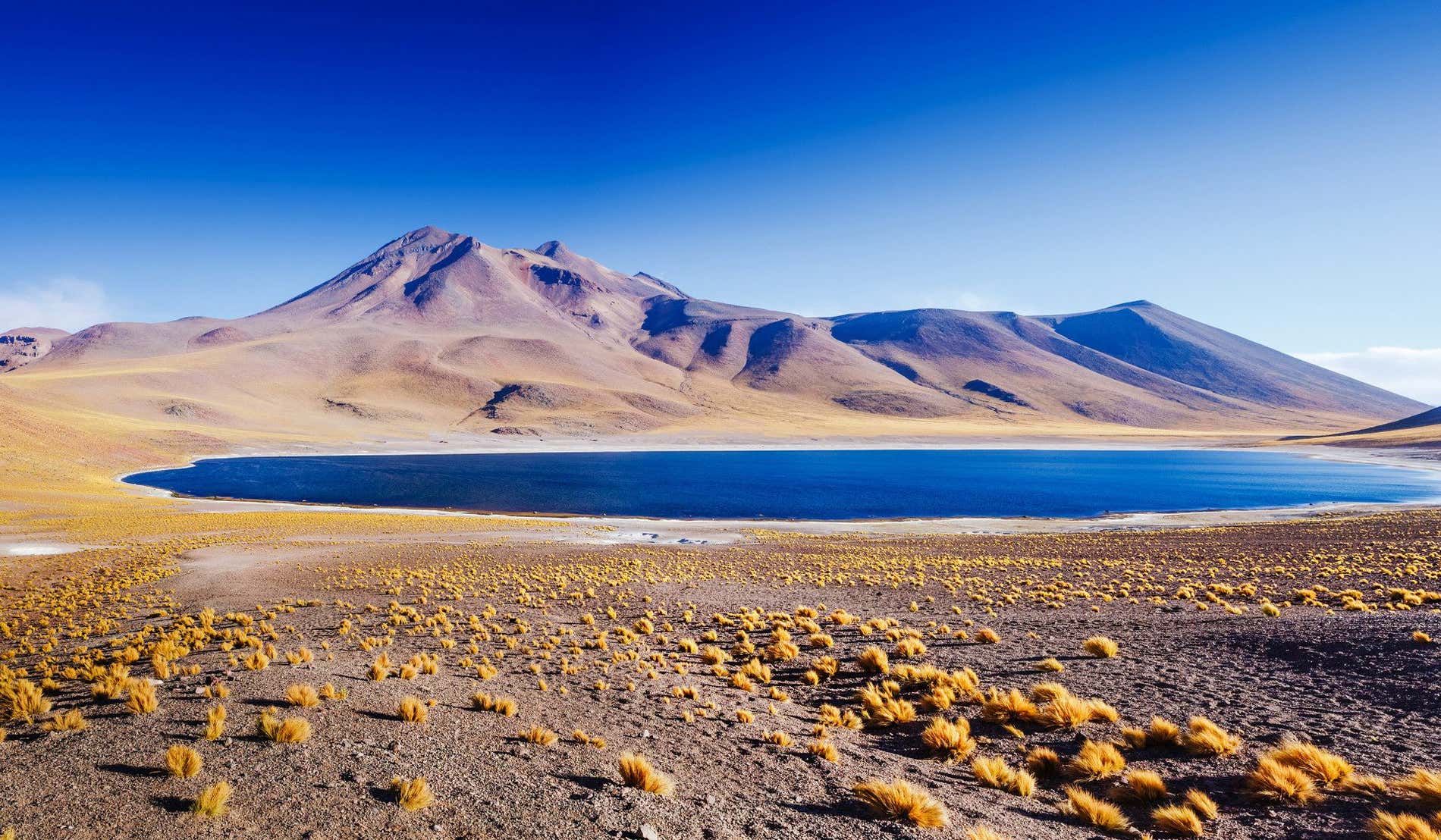 Qué ver en el desierto de Atacama