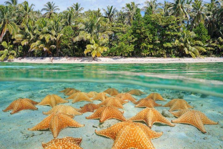 Las Mejores Playas De Panamá Civitatis Magazine