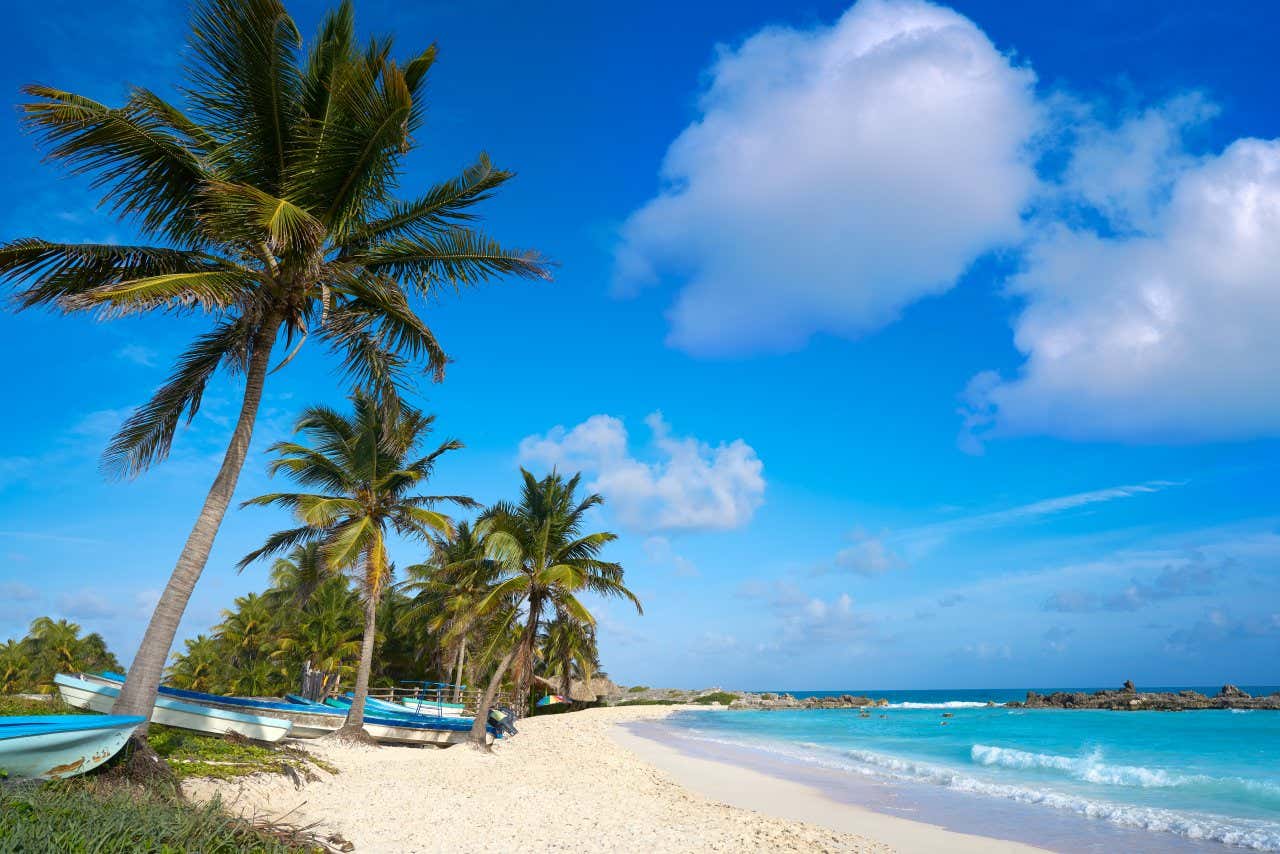 Empty Caribbean beach with white sand, palm trees, and fishing boats docked near the turquoise water in Mexico