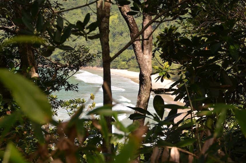 Praia do Sono vista de trás de uma vegetação robusta
