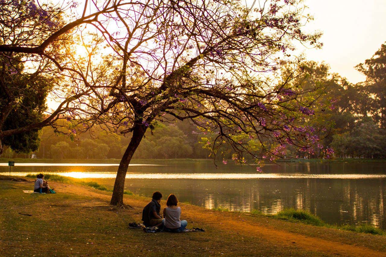 Couple sous un arbre en fleur près d'un lac dans un parc au coucher du soleil