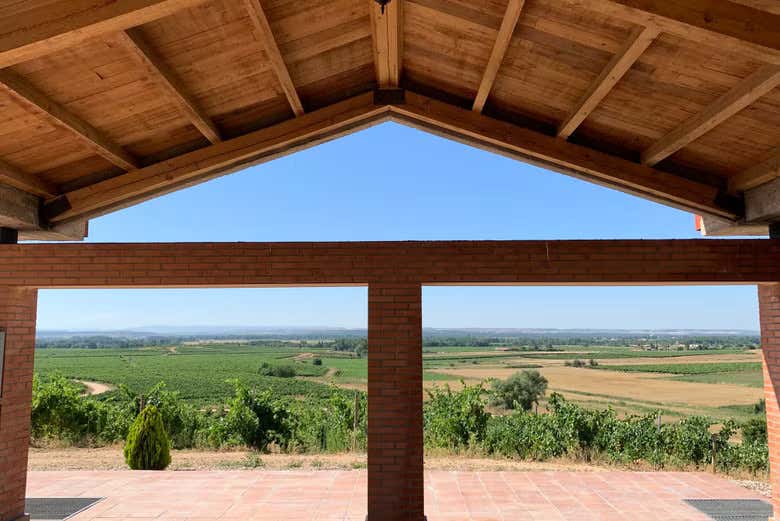 Terraza de las bodegas Durón y vista de los viñedos