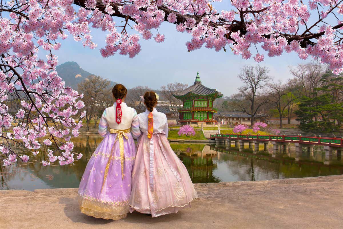 Ciliegi in fiore e due donne di spalle in abiti tradizionali al palazzo Gyeongbokgung di Seul ad aprile