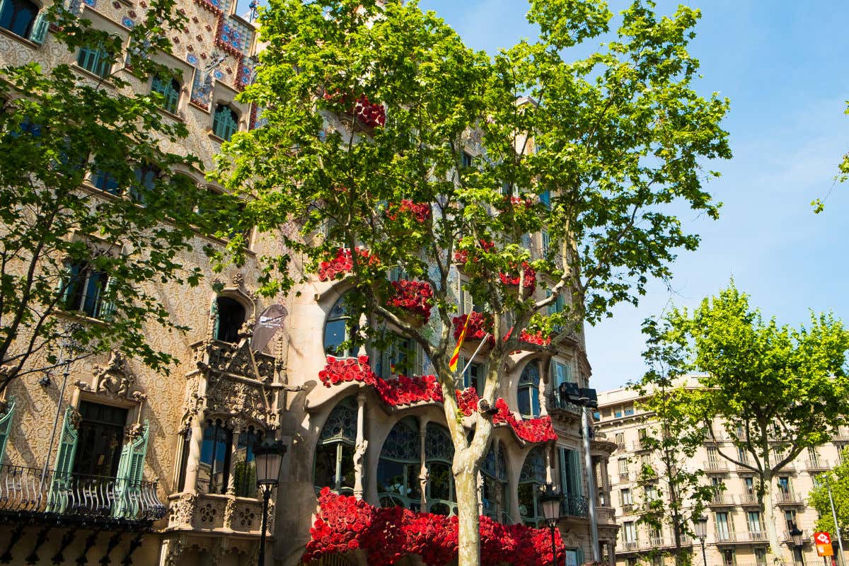 Rose che decorano i balconi di Casa Batlló a Barcellona in occasione della festa di Sant Jordi ad aprile