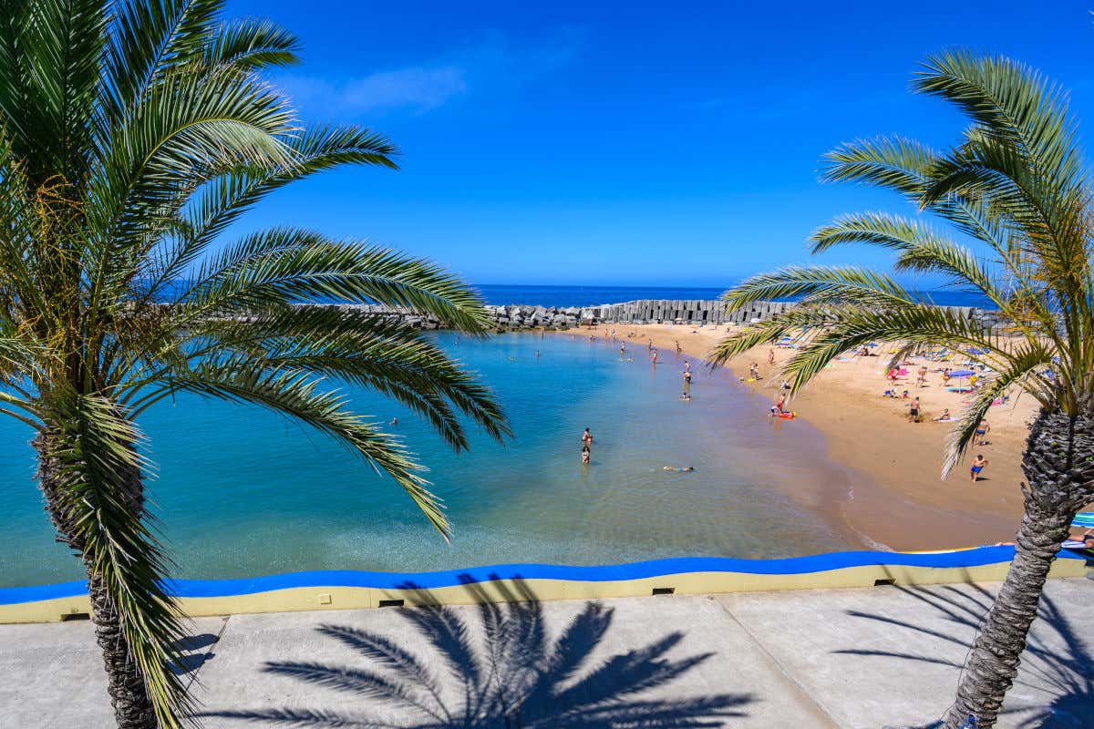 Praia da Calheta, una de las playas de Madeira de arena dorada y aguas turquesas cercada por unas palmeras