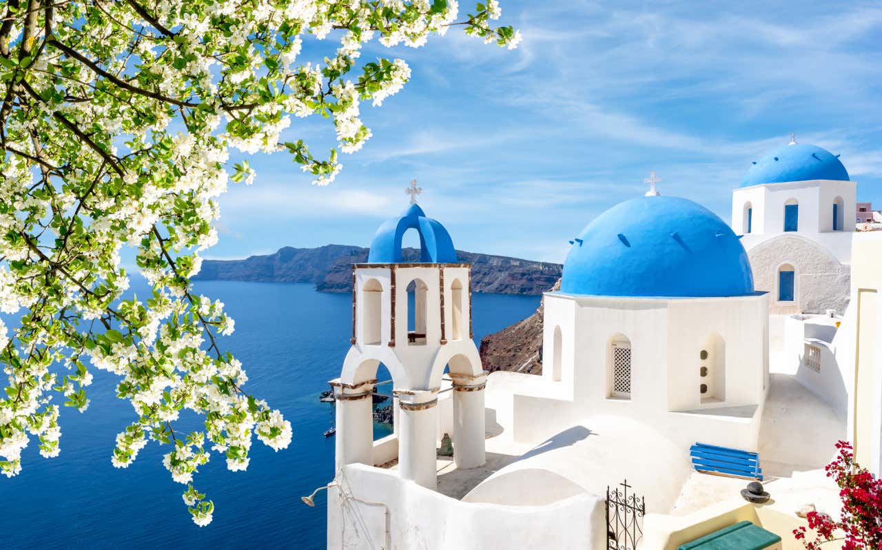 Flores con una iglesia con tejado azul y el mar de fondo en Oia, Santorini