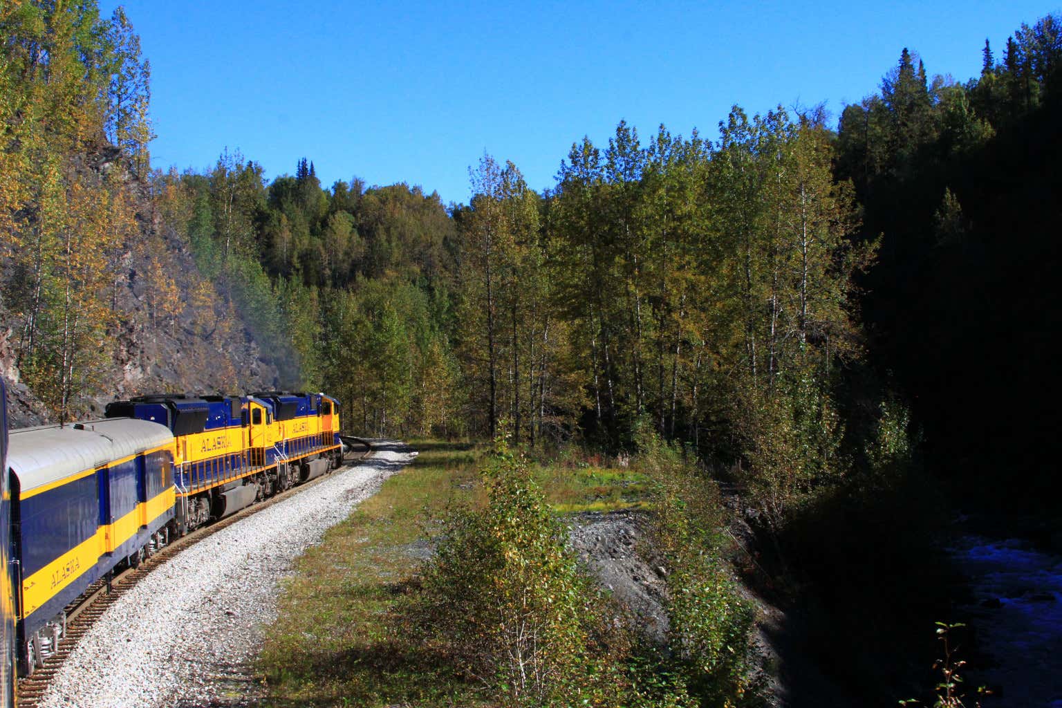 Il treno giallo e blu Denali Star in viaggio fra i boschi dell'Alaska sotto un cielo azzurro limpido