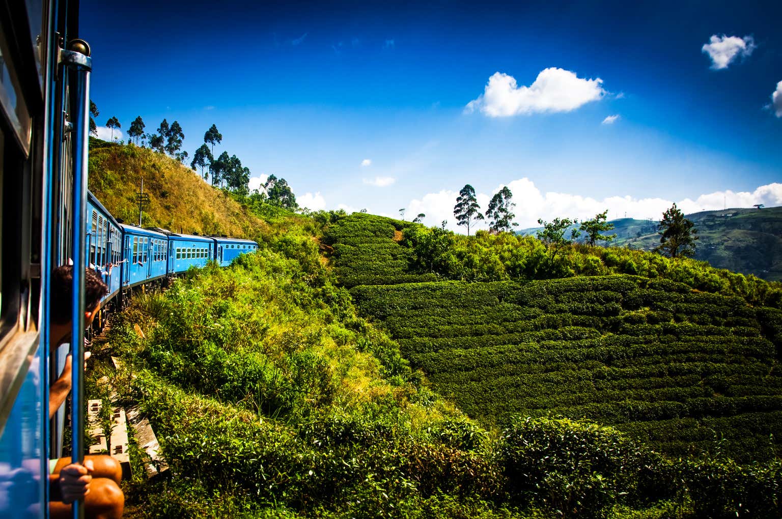 Un passeggero che osserva dal finestrino del treno le piantagioni di tè dello Sri Lanka in una giornata di sole