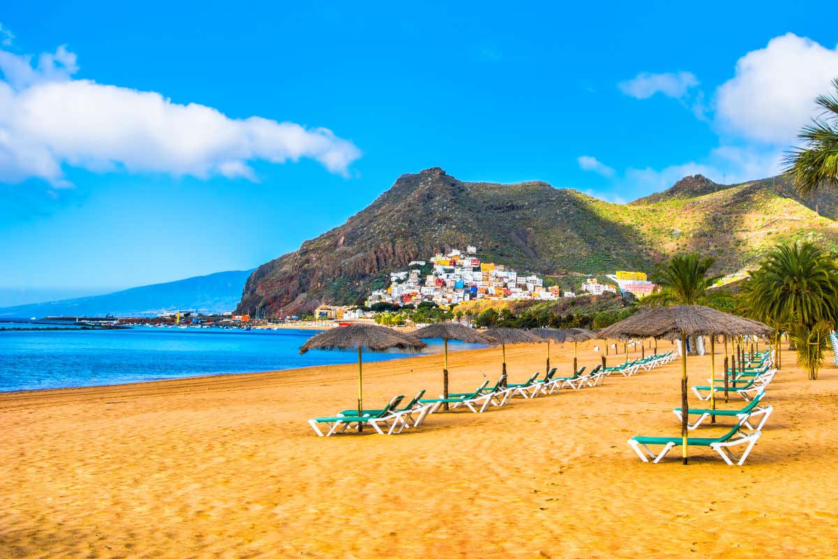 Panorámica de la playa de Las Teresitas en un día despejado con las sombrillas y las hamacas sobre la arena dorada en primer plano y las montañas verdes al fondo