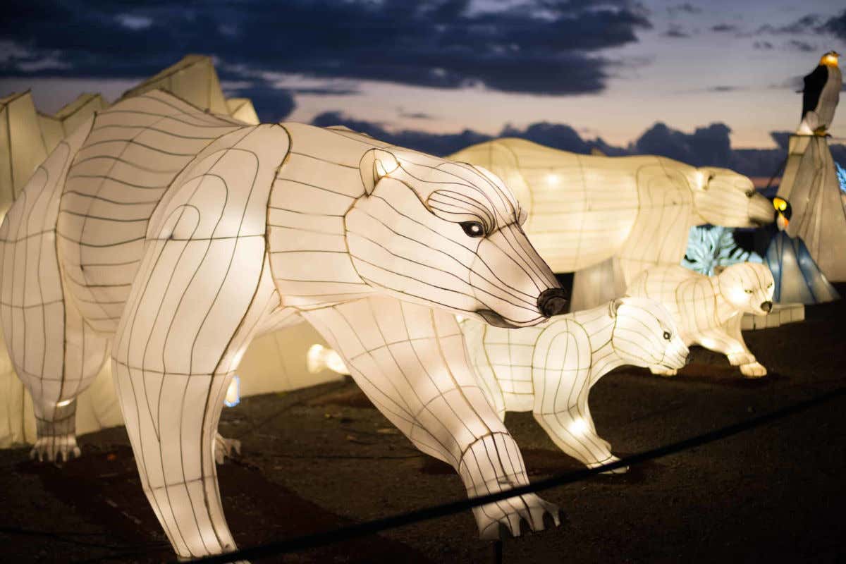 Esculturas de osos polares y pingüinos iluminados en Tenerife Light Park