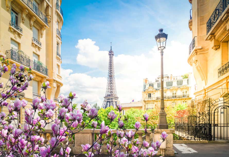 Vista de la torre Eiffel desde una calle de París con flores