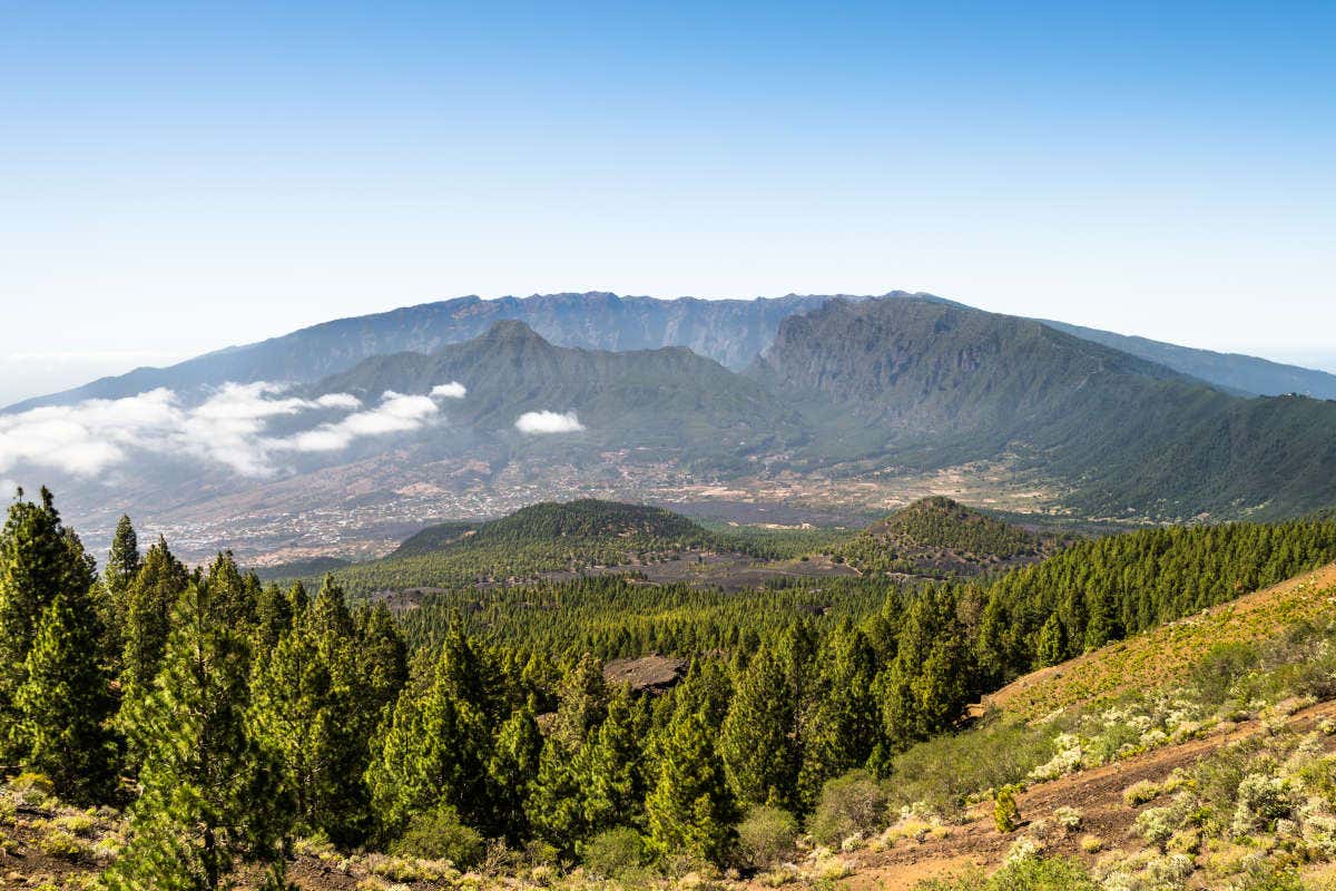 Paisaje de montañas y bosque en la cima del Roque de los Muchachos