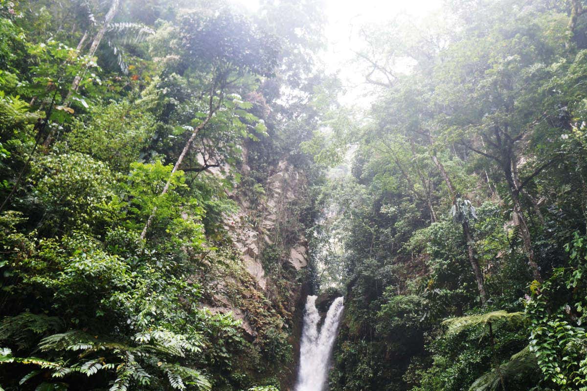 Vistas de la catarata Ahuashiyacu rodeada de vegetación