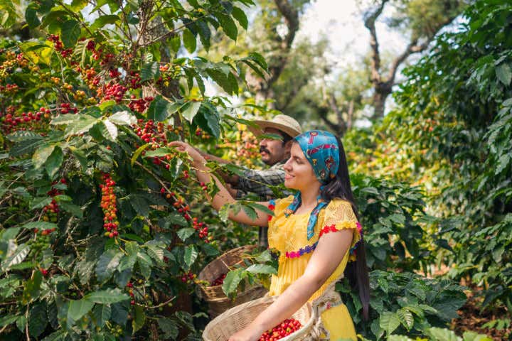 Qué hacer en el Eje Cafetero - Civitatis Magazine