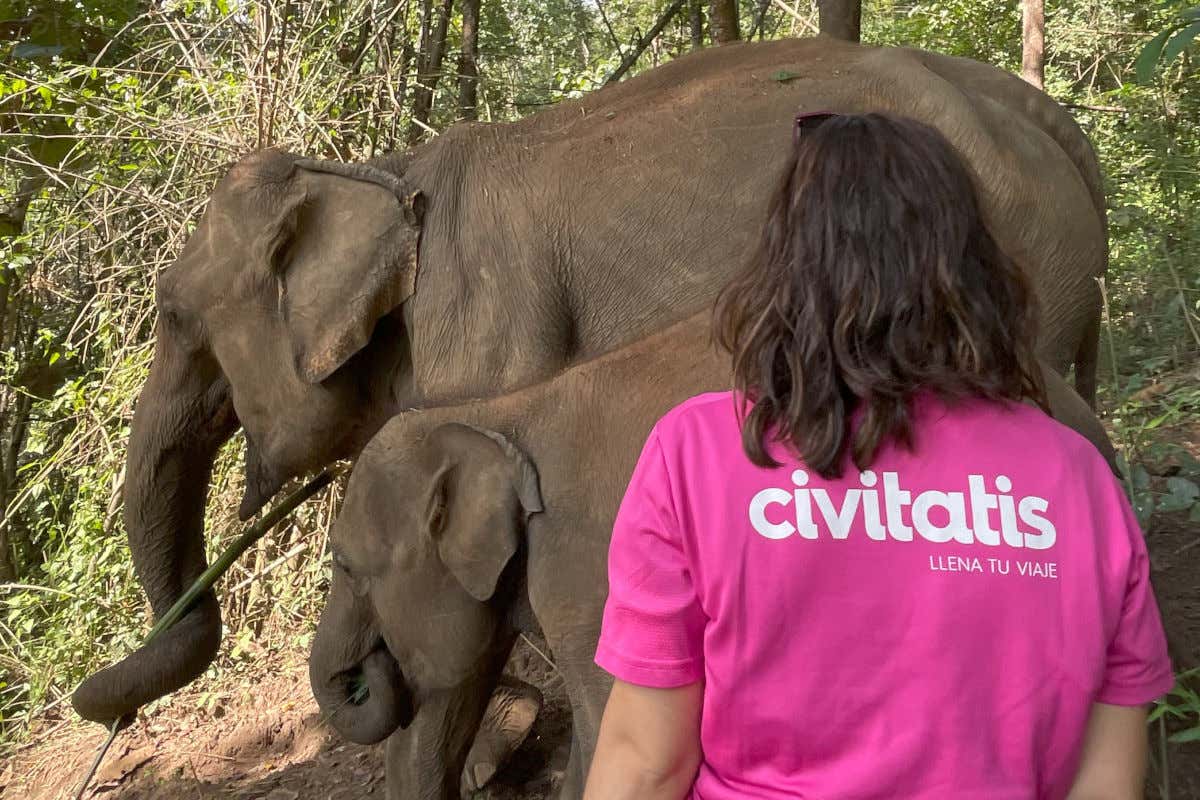 Rocío Molla de espaldas a la cámara vestida con un polo rosa de Civitatis contemplando a una pareja de elefantes