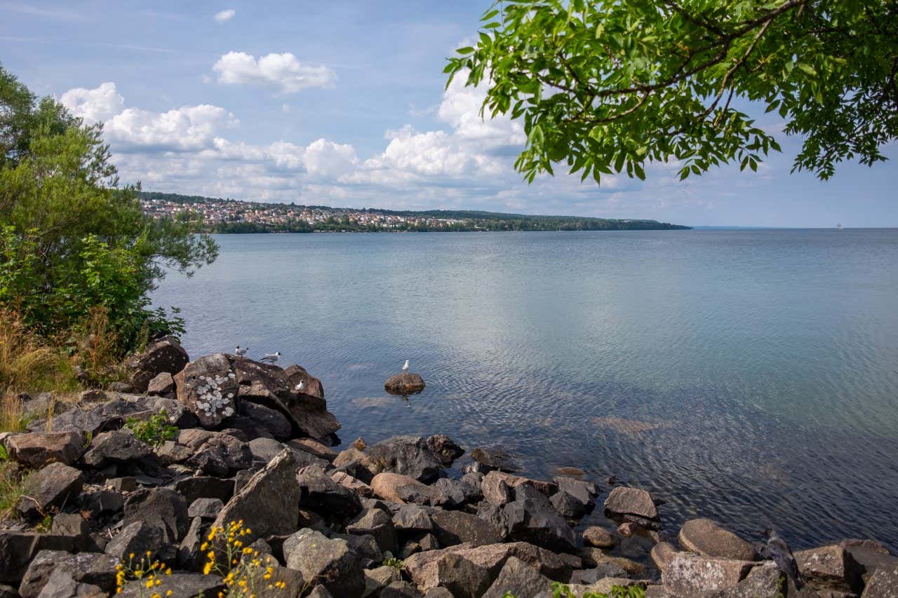 El lago Vättern con aguas en calma y con varias rocas y aves descansando