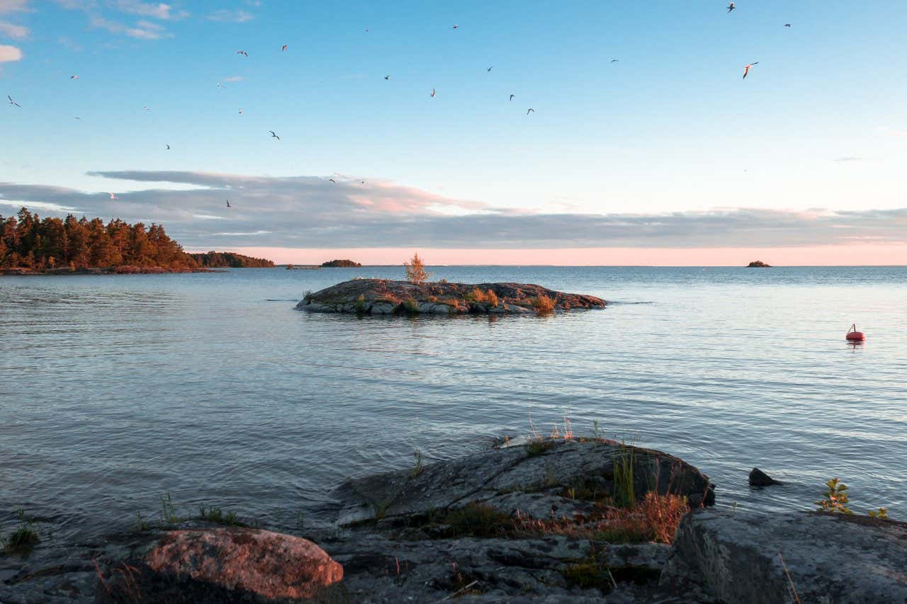 Pequeño islote poblado de aves en el lago Vänern en Suecia en un día despejado con pocas nubes