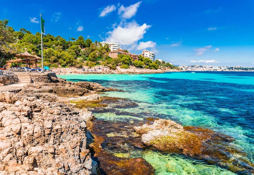 Praia com tons azuis e verdes com árvores e edifícios ao fundo