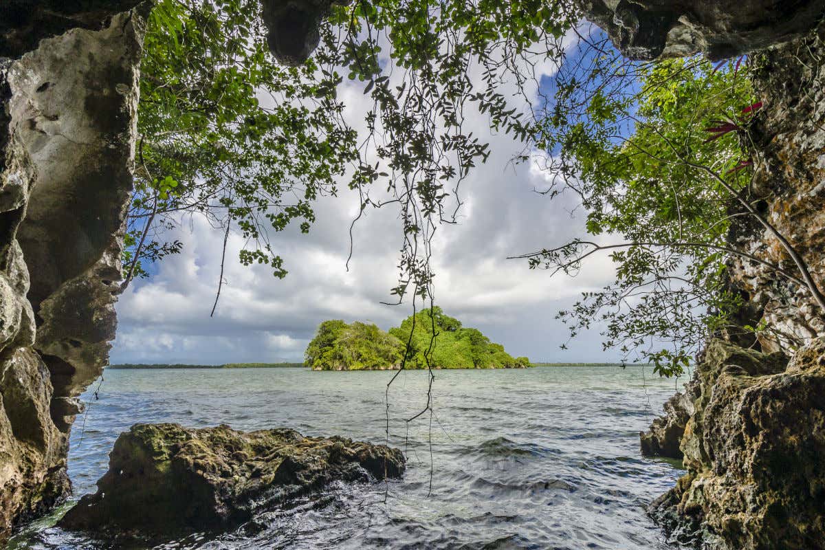 Una isla repleta de frondosa vegetación en el Parque Nacional Los Haitises, un imprescindible que ver en la República Dominicana