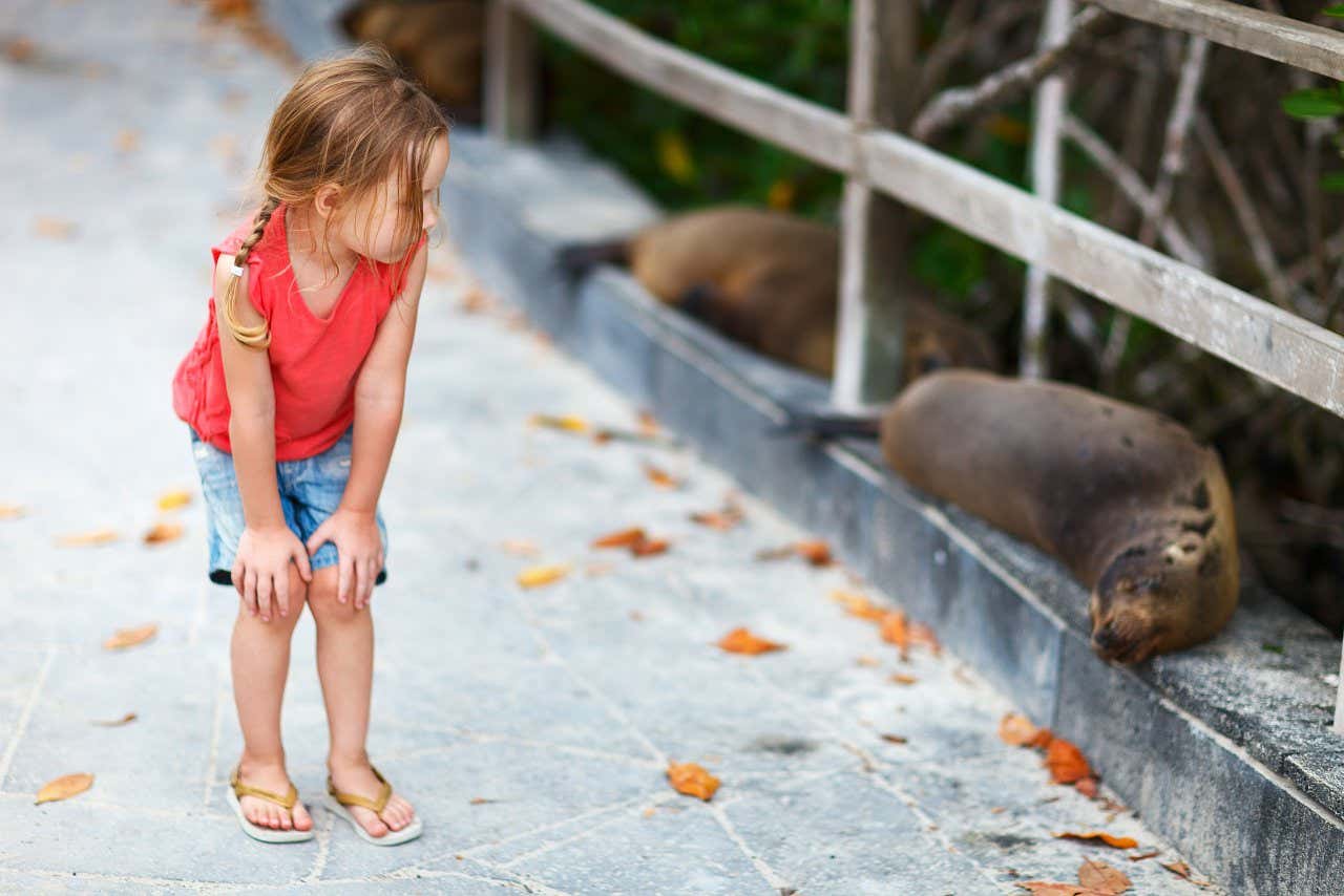 Uma criança observando um leão-marinho nas ilhas Galápagos