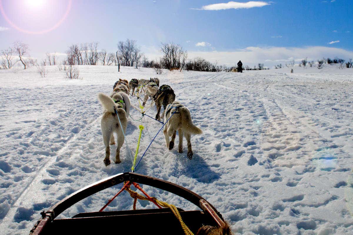 Un grupo e perros husky tirando de un trineo sobre la nieve