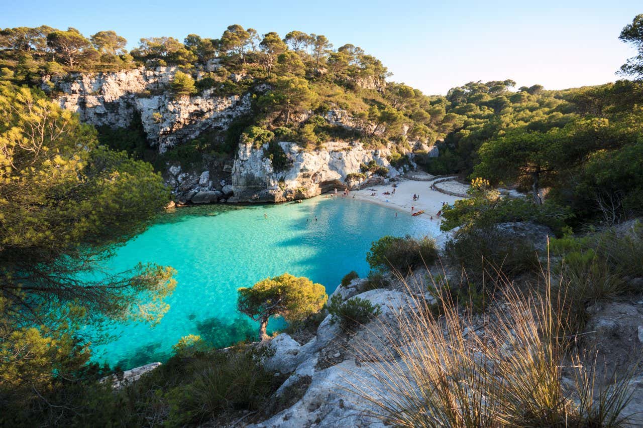 Vue sur la paisible cala Macarelleta, avec ses eaux turquoise entourées de végétation luxuriante, l'un des meilleurs endroits à voir à Minorque