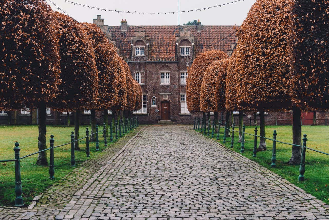 Strada alberata del Groot Begijnhof di Gand, con un edificio in stile fiammingo sullo sfondo